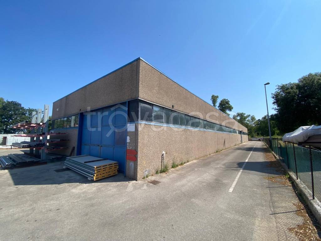 locale commerciale in vendita a Sabaudia