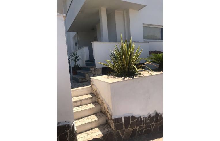 casa indipendente in affitto a Sabaudia