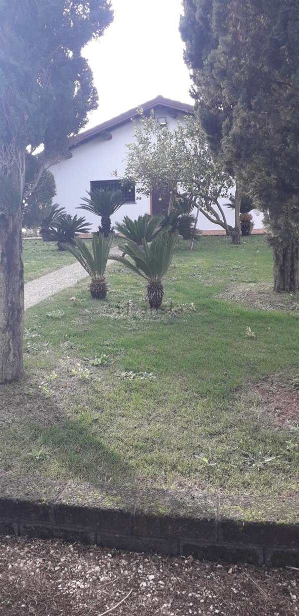 appartamento in affitto a Sabaudia