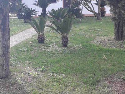 casa indipendente in affitto a Sabaudia