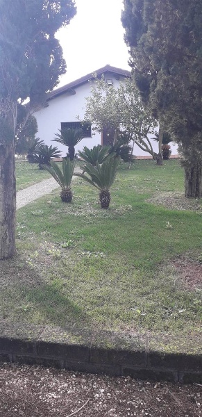 casa indipendente in affitto a Sabaudia