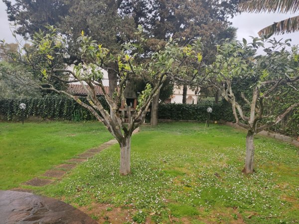 casa indipendente in affitto a Sabaudia