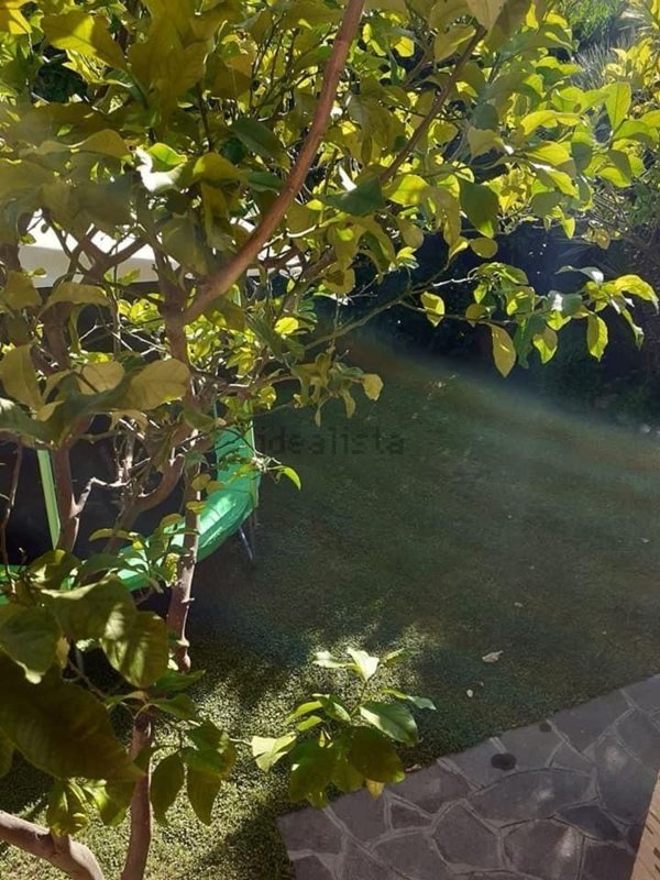 appartamento in affitto a Sabaudia