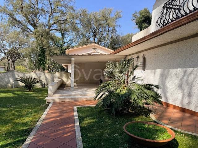 casa indipendente in affitto a Sabaudia in zona Baia d'Argento