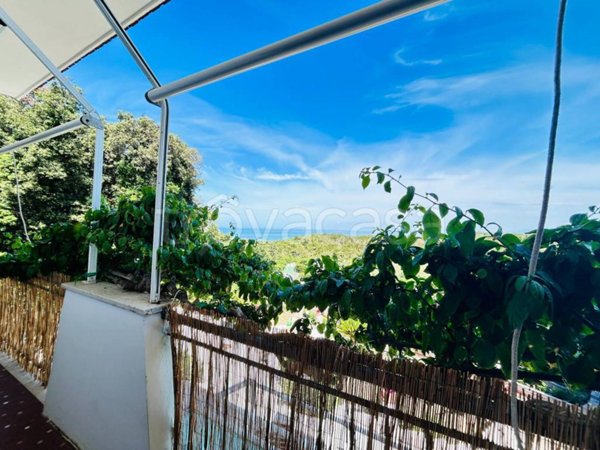 appartamento in affitto a Sabaudia