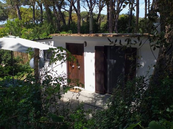 appartamento in affitto a Sabaudia