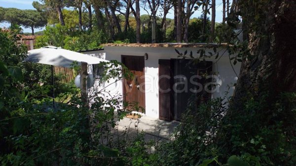 appartamento in affitto a Sabaudia