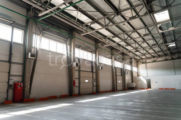 locale commerciale in affitto a San Felice Circeo