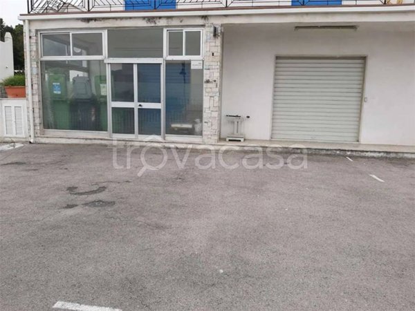 appartamento in affitto a San Felice Circeo
