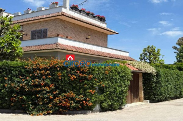 casa indipendente in affitto a San Felice Circeo