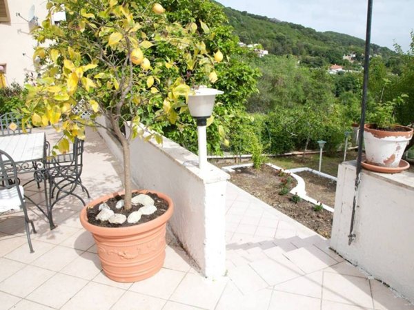appartamento in affitto a San Felice Circeo