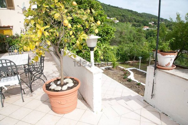 appartamento in affitto a San Felice Circeo