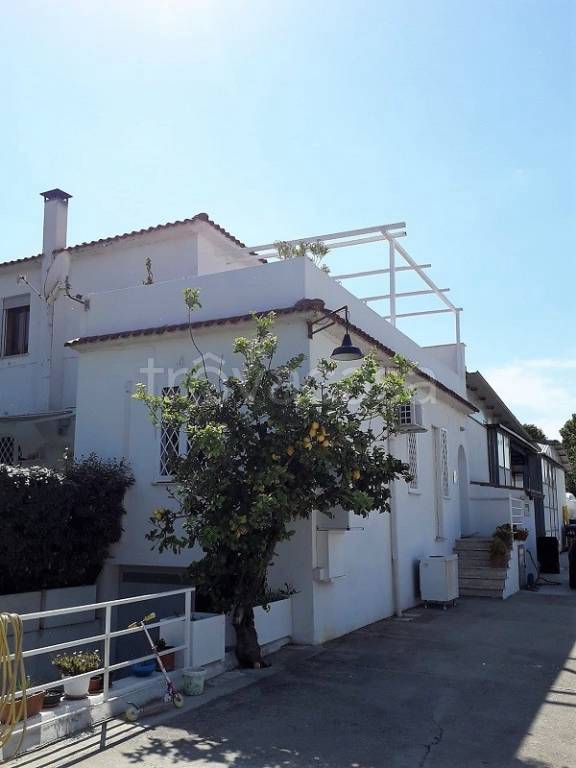 appartamento in affitto a San Felice Circeo