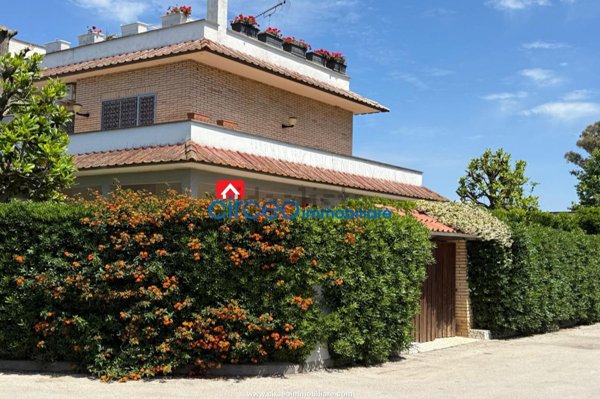 casa indipendente in affitto a San Felice Circeo