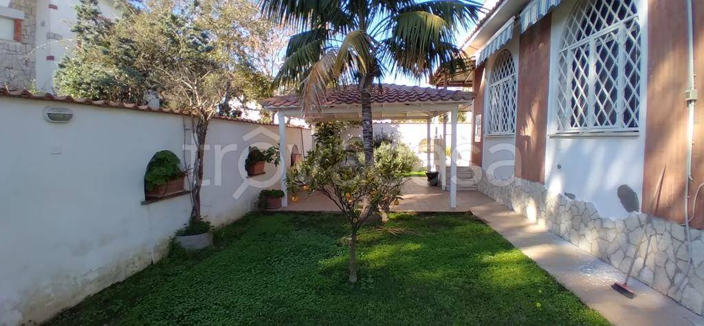 casa indipendente in affitto a San Felice Circeo