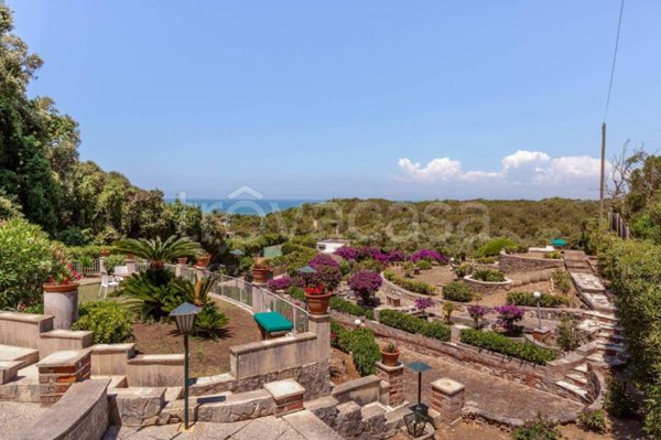 appartamento in affitto a San Felice Circeo