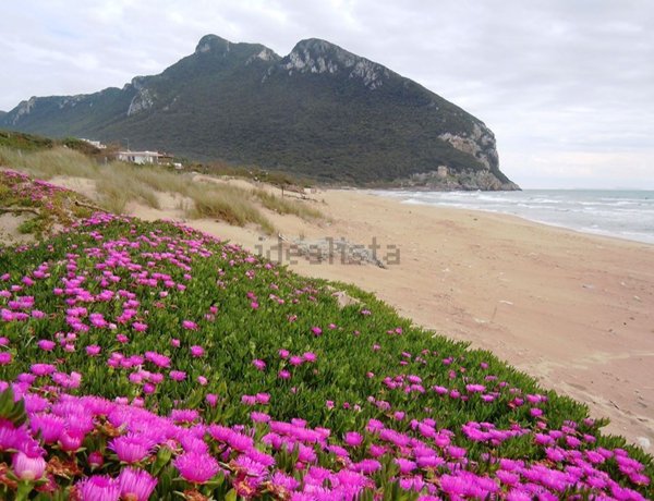 appartamento in affitto a San Felice Circeo