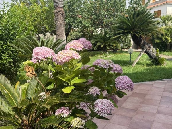 casa indipendente in affitto a San Felice Circeo