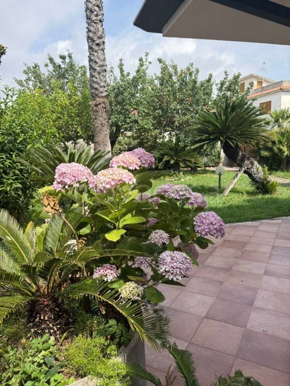 casa indipendente in affitto a San Felice Circeo