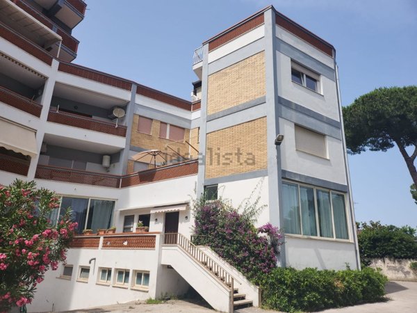 appartamento in affitto a San Felice Circeo in zona Torre Olevola