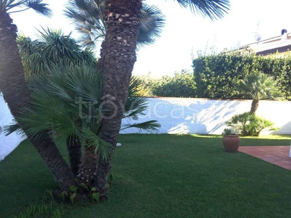 appartamento in affitto a San Felice Circeo
