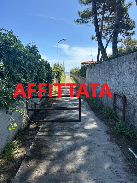 immagine annuncio 0 di 15