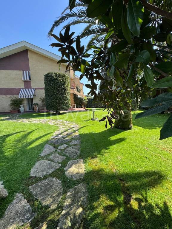 casa indipendente in affitto a Terracina