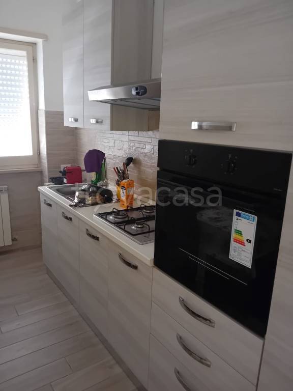 appartamento in affitto a Terracina