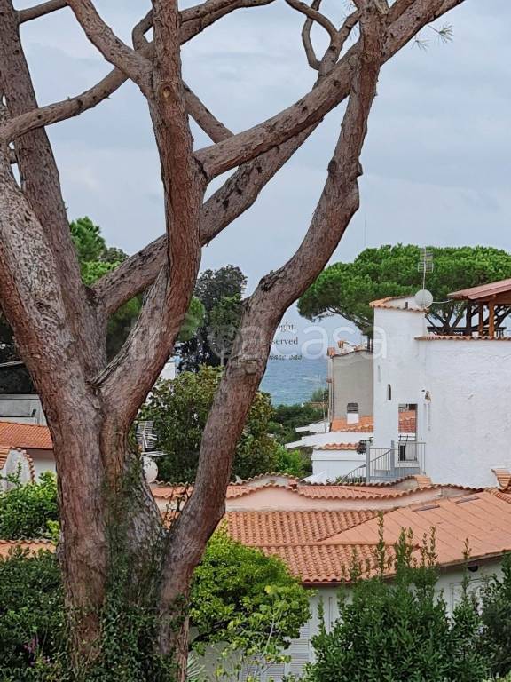 casa indipendente in affitto a Terracina