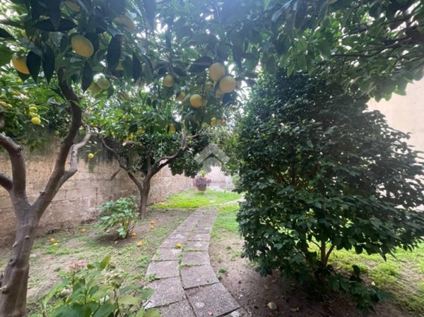 appartamento in affitto a Terracina