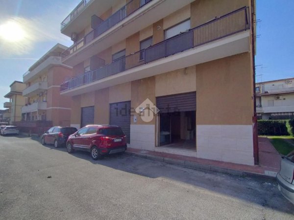 immagine annuncio 0 di 1