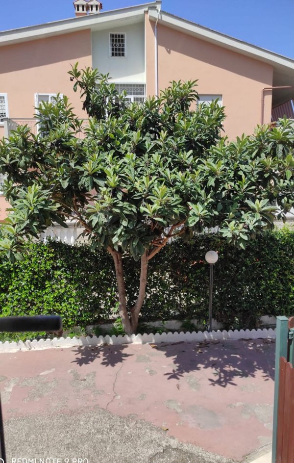 appartamento in affitto a Terracina