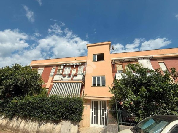 appartamento in affitto a Terracina