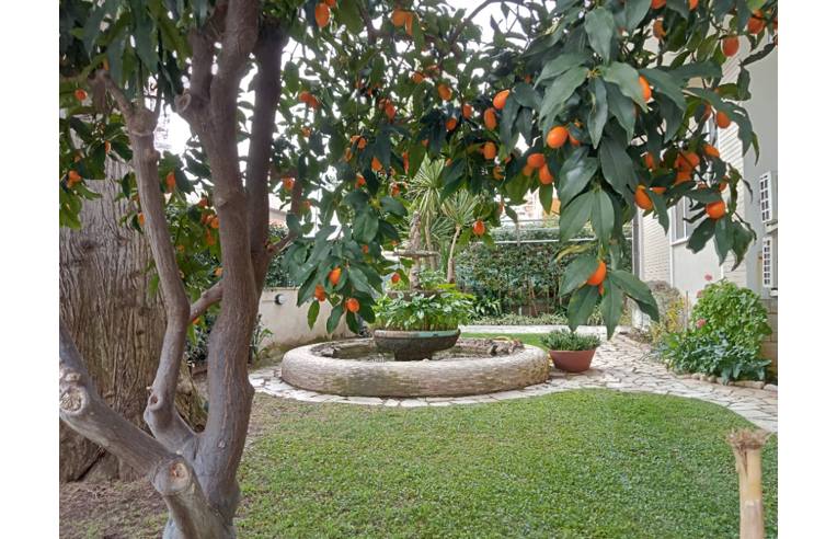 appartamento in affitto a Terracina