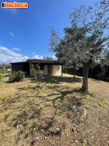 appartamento in affitto ad Alatri