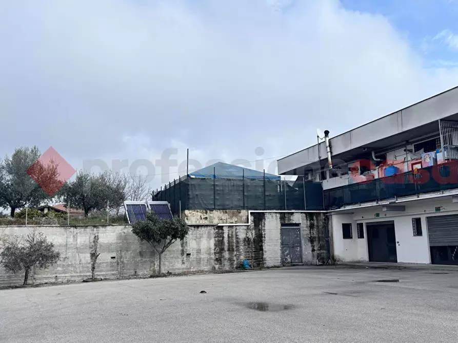 locale commerciale in affitto ad Alatri in zona Tecchiena