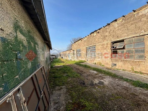 locale commerciale in affitto ad Anagni