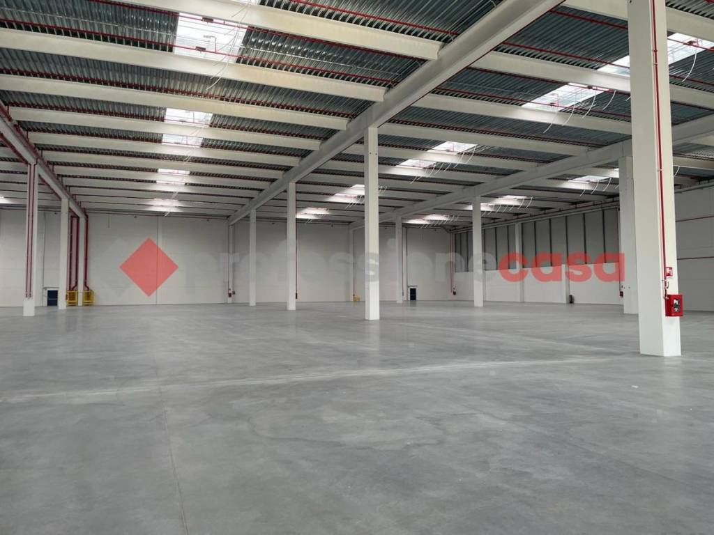 immagine annuncio 0 di 7