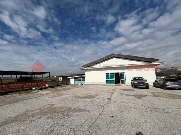 locale commerciale in affitto ad Anagni