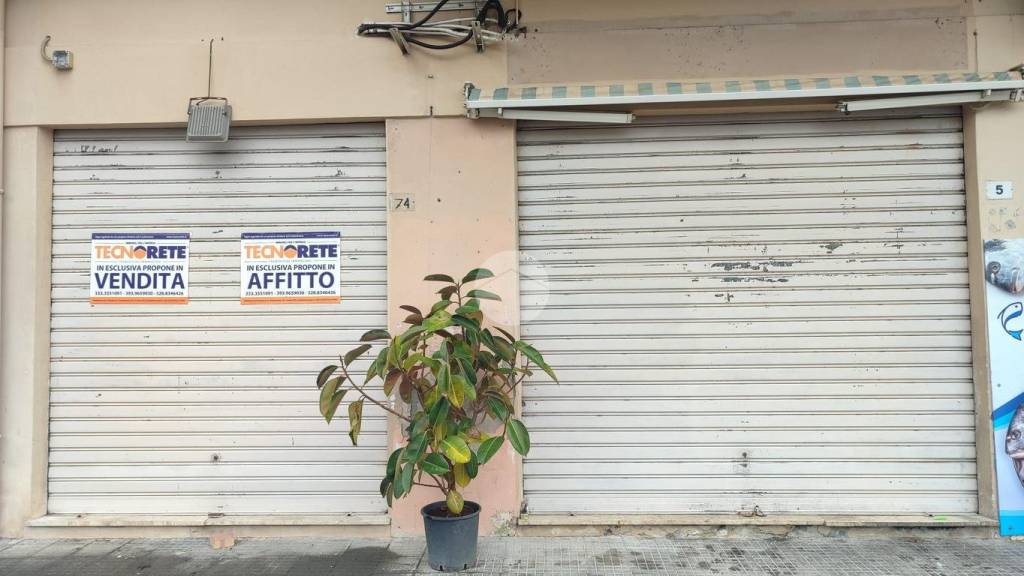 negozio in affitto ad Aquino