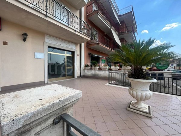 monolocale in affitto ad Aquino