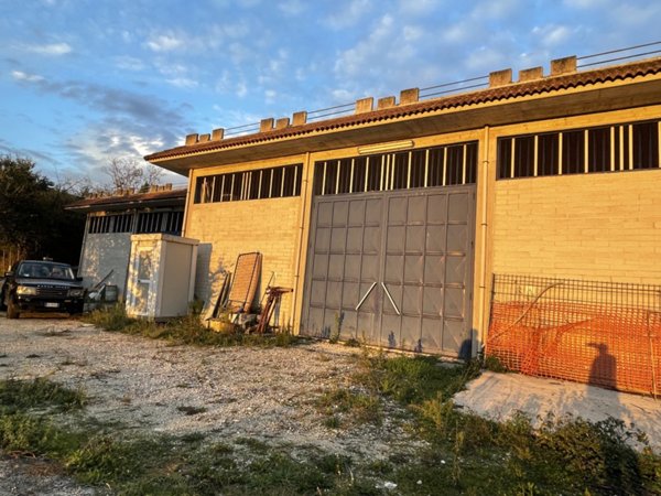 capannone in affitto ad Arnara