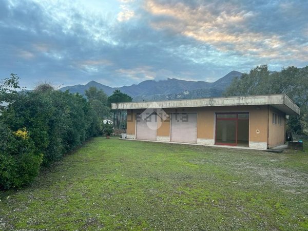 locale commerciale in affitto ad Ausonia