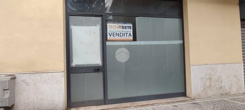 negozio in affitto a Cassino