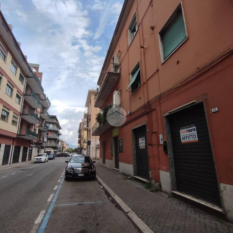 negozio in affitto a Cassino