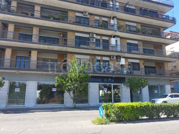 negozio in affitto a Cassino