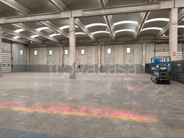 locale commerciale in affitto a Cassino