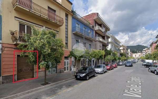 negozio in affitto a Cassino
