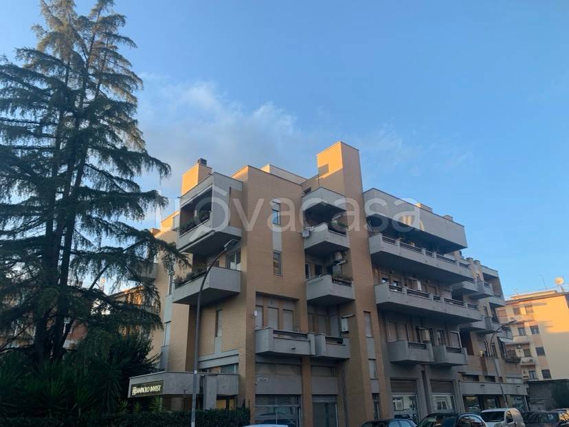 appartamento in affitto a Cassino