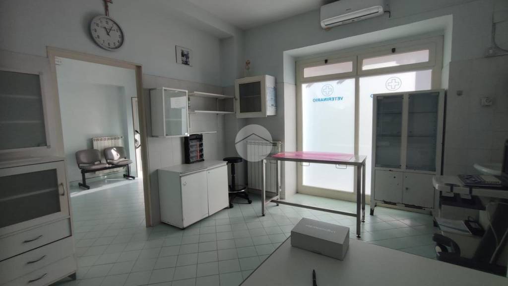 negozio in affitto a Cassino